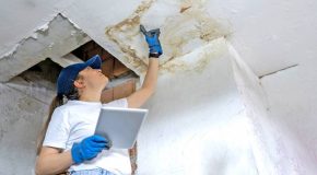 Les vices cachés : guide pratique du consommateur